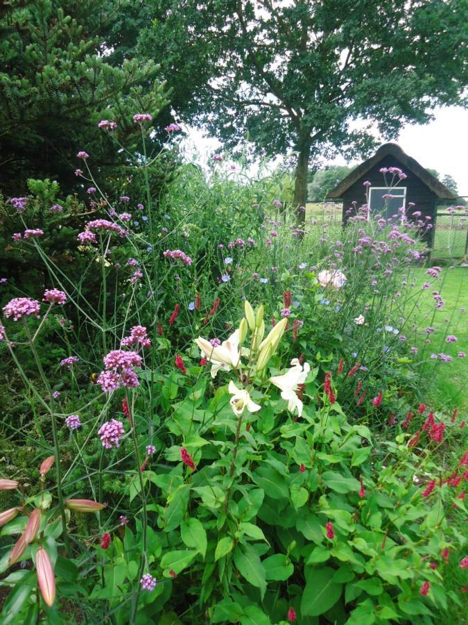 Klein Vreugderijk Bed & Breakfast Zwolle  Eksteriør bilde